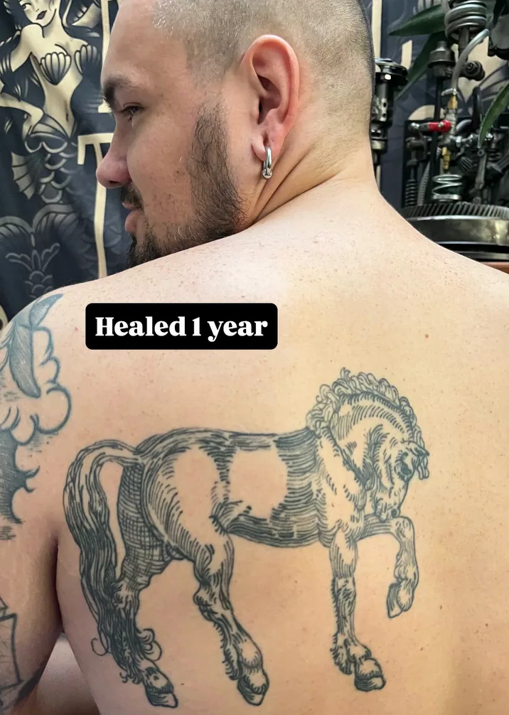 A horse on the back, one year healed, with his own story label